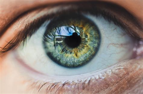 eye stock photo|free stock photos eyes.